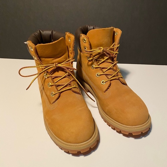 WOMEN'S TIMBERLAND® PREMIUM 6-INCH WATERPROOF BOOTS - Picture 1 of 6